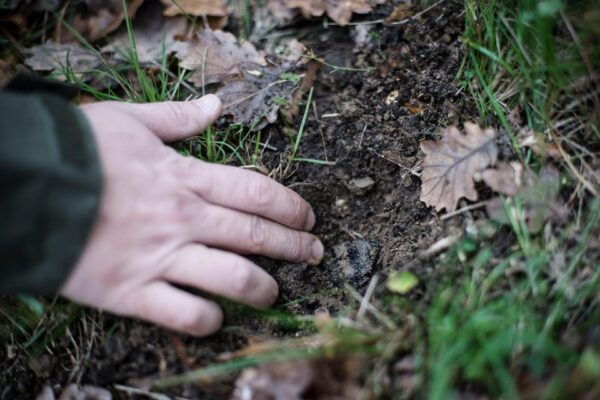 Discover Truffles From the Farm to the Fork - Essential Items to Bring