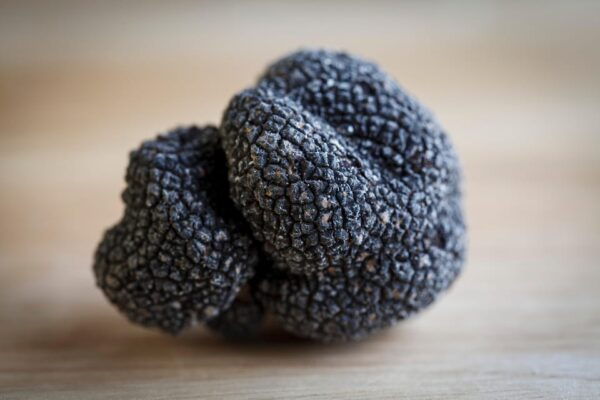 Discover Truffles From the Farm to the Fork - Booking Information