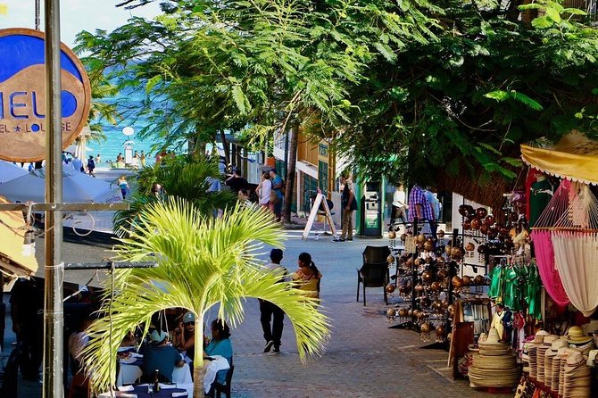 Discover Tulum, Visit Coba and Swim in a Real Mayan Cenote and Playa Del Carmen - Traveler Photos