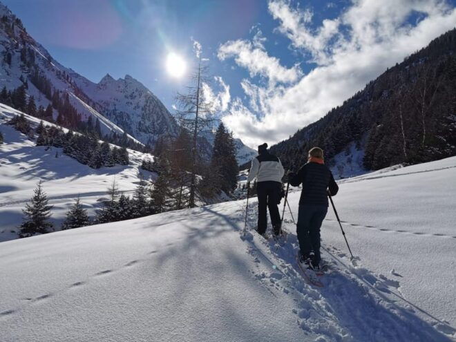 Discover Tyrols Mountains on a Guided Hike - Accessibility and Language