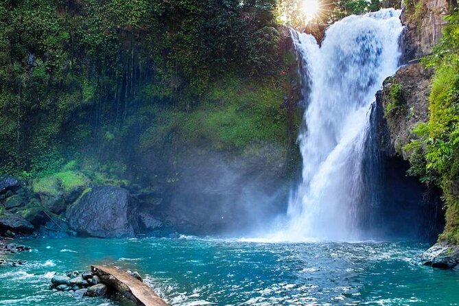 Discover Ubud: Exotism Ubud and Optional Meet the Bali Shaman - Monkey Forest Exploration