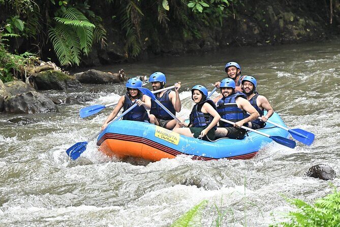 Discover Ubud Waterfall Swing Rice Terrace and Monkey Forest - The Itinerary Breakdown: What to Expect