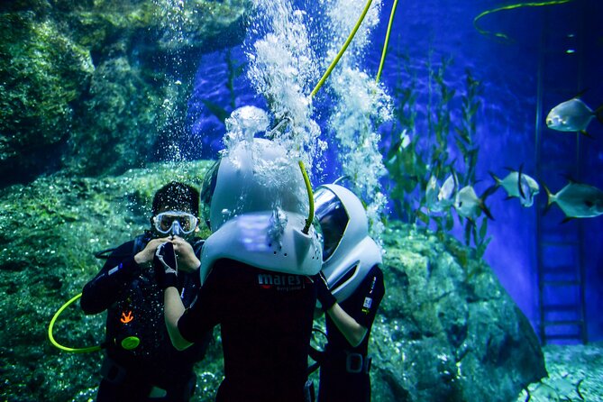Discover Underwater Blue Lagoon With This Snorkeling - Snorkeling Equipment Provided