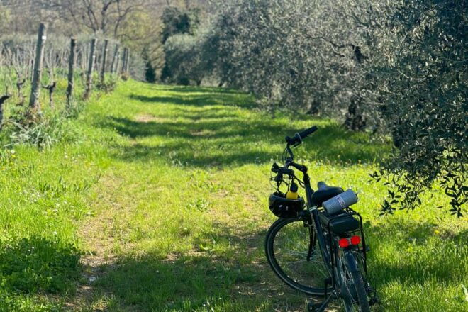 Discover Valpolicella: Family-Run Amarone Tour - Booking Information