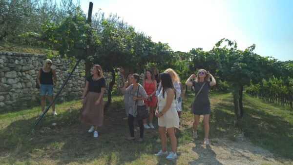 Discover Valpolicella: Family-Run Amarone Tour - Frequently Asked Questions