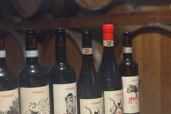 Discover Valpolicella: Family-Run Amarone Tour - The Sum Up
