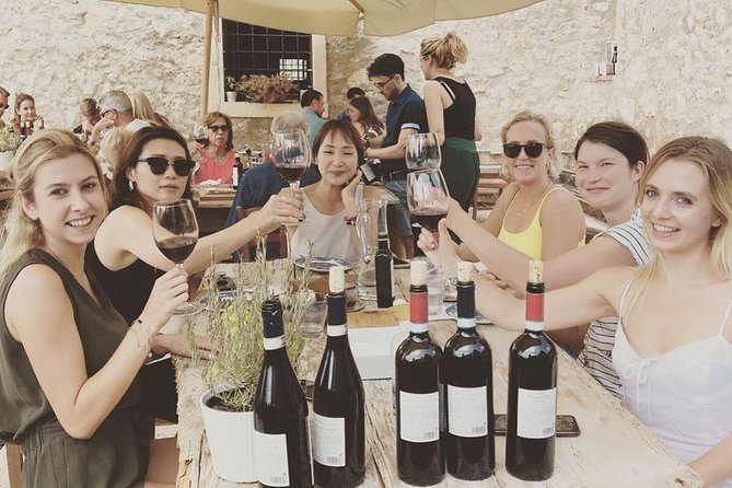 Discover Valpolicella Vineyards and Wine Tasting Experience - Overview of Valpolicella Wine Region