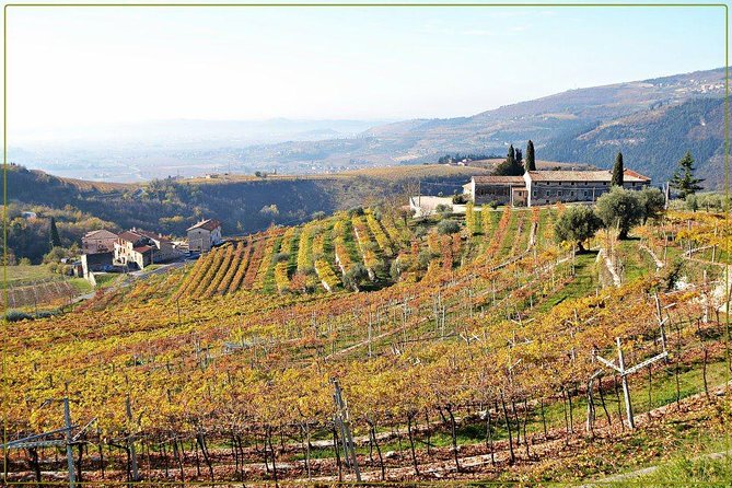 Discover Valpolicella Vineyards and Wine Tasting Experience - Common Questions