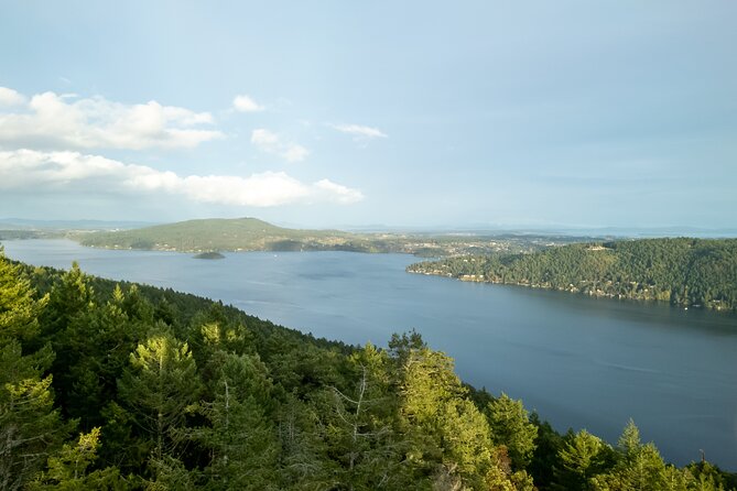 Discover Vancouver Island & Malahat SkyWalk & Cidery Tour - The Sum Up