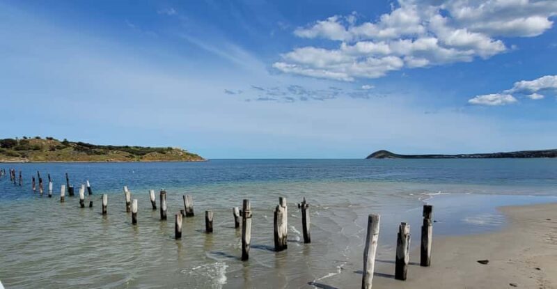 Discover Victor Harbor Guided Walking Tour - Good To Know