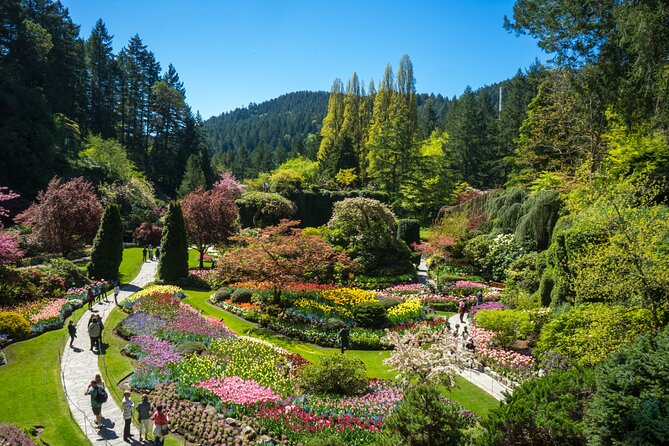 Discover Victoria & Butchart Gardens Tour - From Vancouver - Reviews and Testimonials