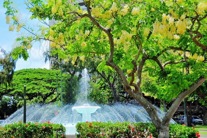 Discover Waikiki. Guided 1hr45m Signature Hoverboard Tour - Touring on a Hoverboard - Covering More Ground