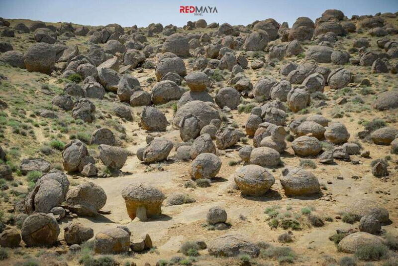 Discover Whole Mangystau in 7 days - Group Tour - Practical Insights and Value