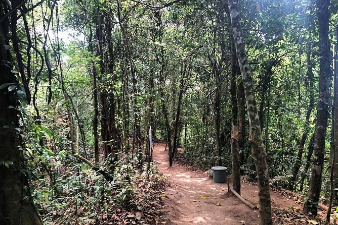 Discover With Aman Bali Driver - Top Tour Packages Offered