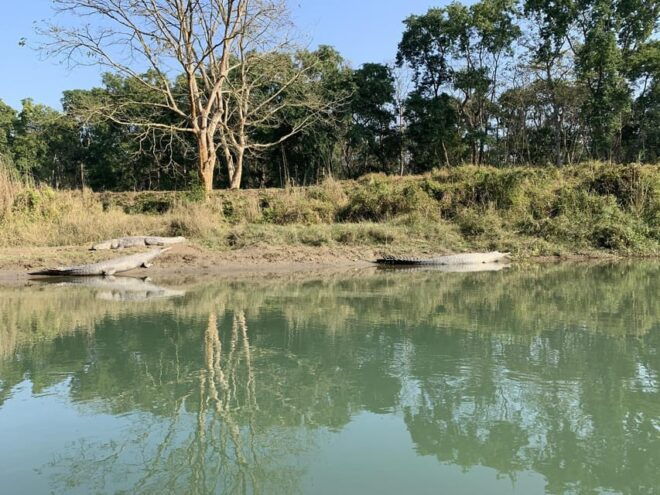 Discover World Heritage Site and Chitwan National Park Tour - Detailed Daily Itinerary