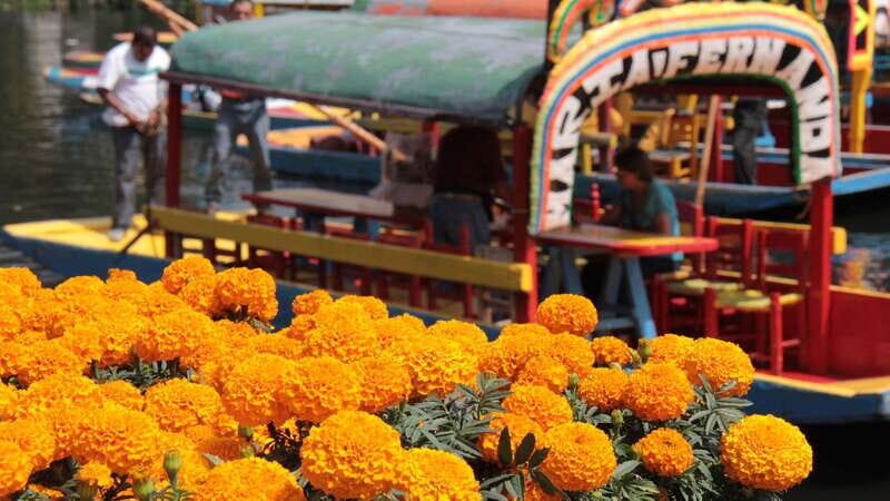 Discover Xochimilco and Coyoacán: Tradition, Music, Culture - Final Thoughts