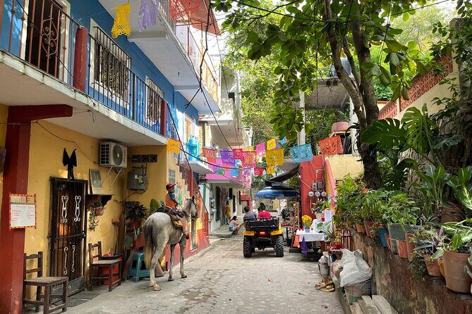 Discover Yelapa Fishing Village - What’s Included and What’s Not