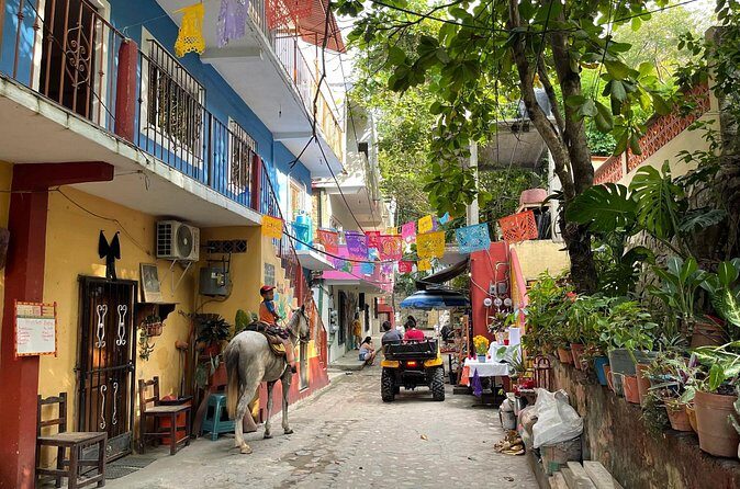 Discover Yelapa Fishing Village - The Sum Up: Why This Tour Is Worth Considering