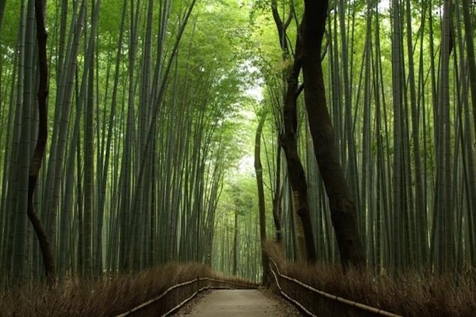 Discover Your Kyoto -Private Kyoto Customized Walking Tour- - Customize Your Kyoto Experience