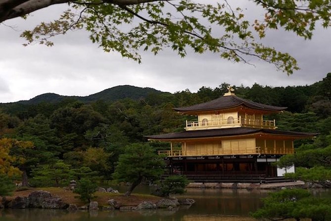 Discover Your Kyoto -Private Kyoto Customized Walking Tour- - Personalized Itineraries for Every Interest