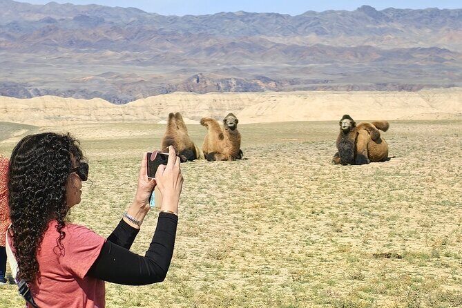 Discovering 6 Stunning Sights on Private Tour of Charyn Canyon - The Sum Up