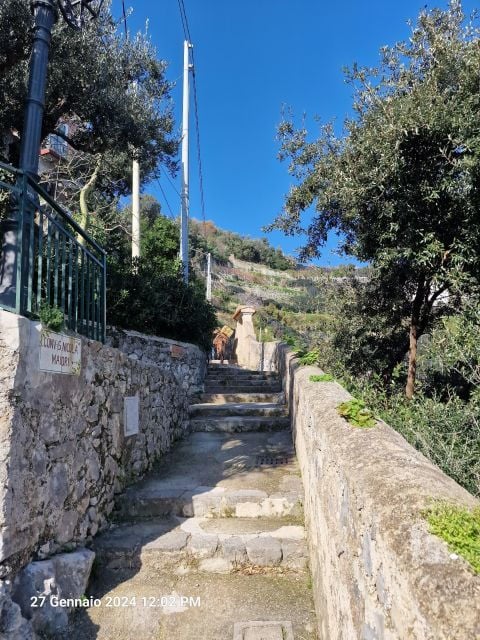 Discovering Amalfi Coast via Amalfi - Pogerola by Walking - Tour Description