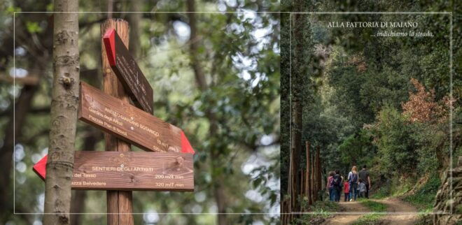 DISCOVERING AN ENGLISH GARDEN OVERLOOKING FLORENCE - Picnic Areas and Local Cuisine