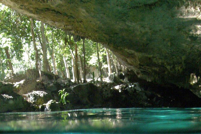 Discovering Breathtaking Cenotes in Tulum - Swimming in Crystal-Clear Waters