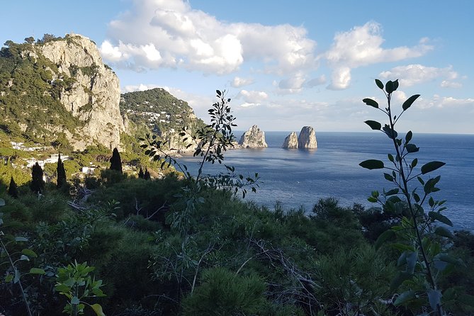 Discovering Capri in One Day - Tour Description