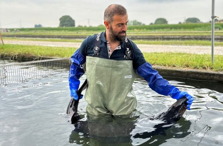 Discovering Caviar, Tour With Tasting (Mn) - Tour Details