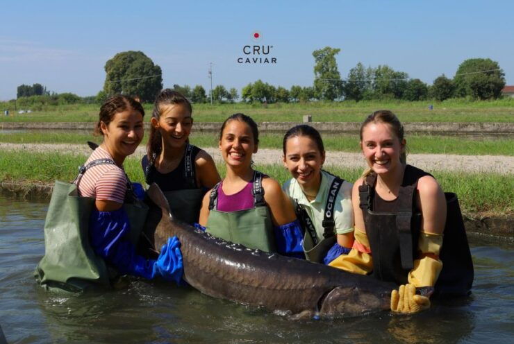 Discovering Caviar, Tour With Tasting (Mn) - Experience Highlights