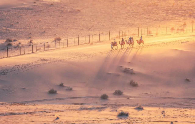 Discovering Dunhuang, Gansu | In-depth Day Trip to Mogao Grottoes + Mingsha Mountain Crescent Spring (Private Group + Optional Chinese/English Guide) - Does the price make sense for your group?