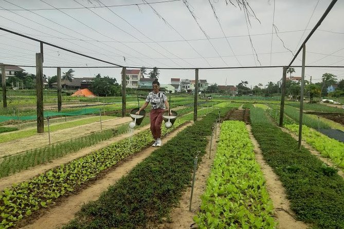 Discovering Hoi an Countryside Local Style From Hoi an - Visiting Authentic Villages and Rural Communities