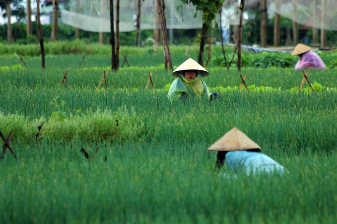 Discovering Hoi an Countryside Local Style From Hoi an - Sampling Delicious Local Cuisine