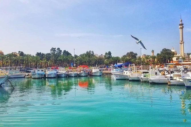 Discovering Lebanons Charms: A Private Tour to Tripoli & Batroun - Good To Know