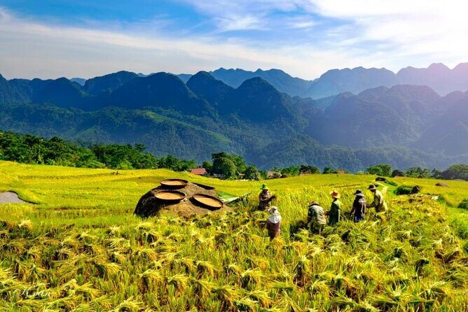 Discovering Mai Chau Private Tour from Hanoi - Who Is This Tour Best For?