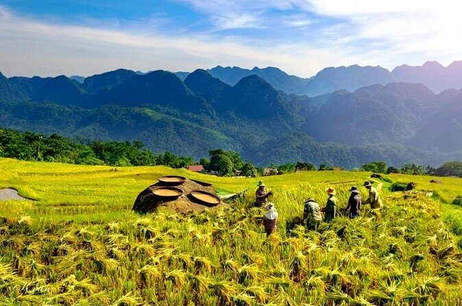 Discovering Mai Chau Private Tour from Hanoi - The Sum Up
