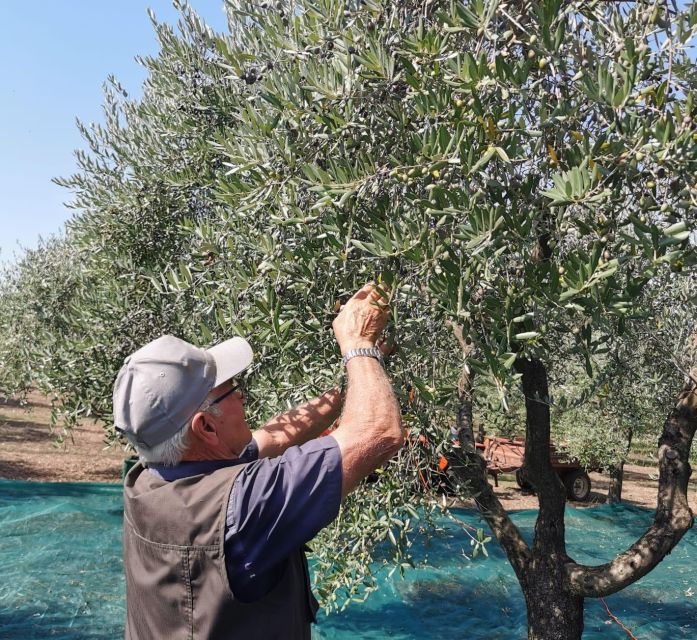 Discovering Nature and Flavors of Pantalica - Activity Details