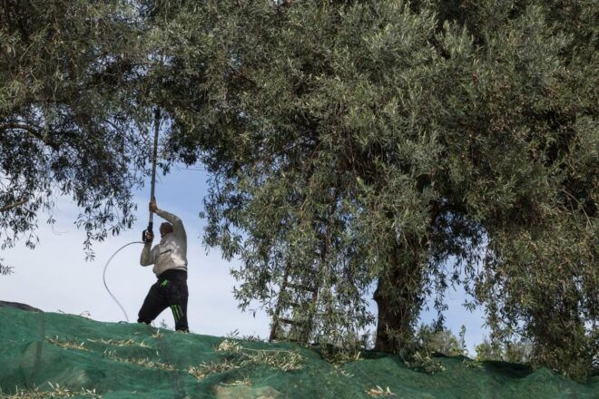 Discovering Nature and Flavors of Pantalica - Inclusions