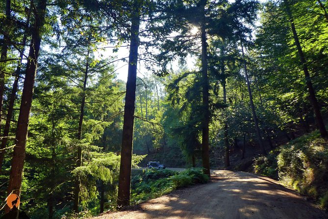 Discovering Nature in Serra Da Lousã - Serra Da Lousã: A Hidden Natural Gem