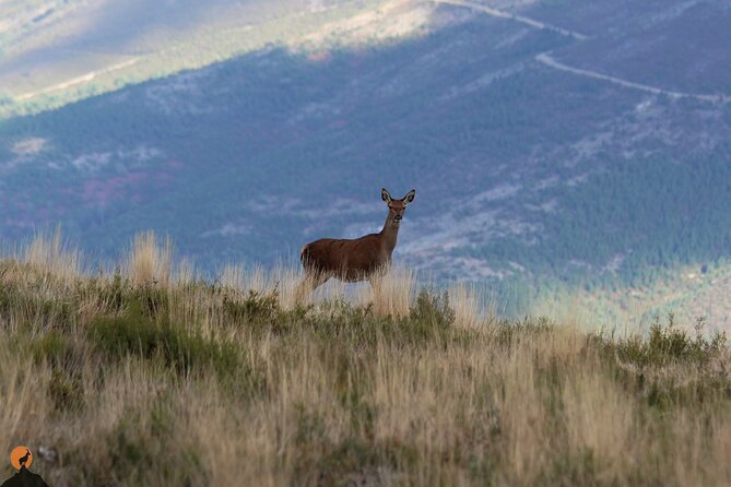 Discovering Nature in Serra Da Lousã - Unforgettable Experiences: Serra Da Lousã Off the Beaten Path