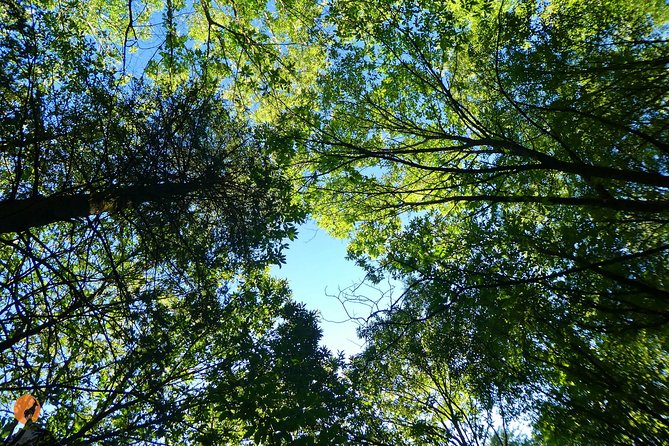 Discovering Nature in Serra Da Lousã - Common Questions