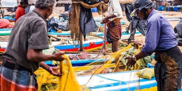 Discovering Negombo's Coastal Fishing Village - Witnessing Fishermen in Action and Learning About the Industry