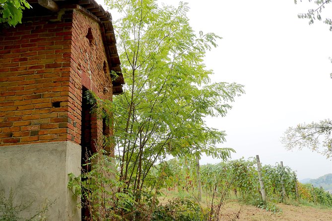 Discovering Roero and Its Wines - Roero: A Hidden Gem for Wine Lovers