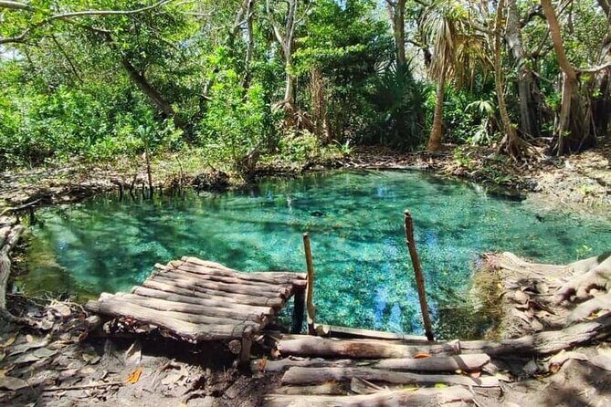 Discovering Sisal All Inclusive - The Sum Up