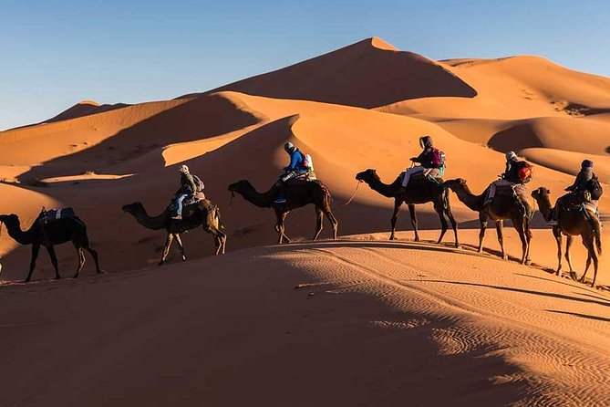 Discovering the 3 Days Trip to Desert (Merzouga Trip From Marrakech) - Customer Reviews