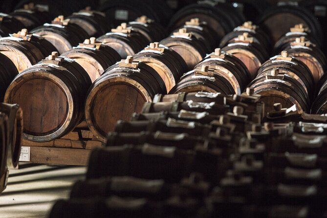 Discovering the Balsamic Vinegar of Modena! - The Production Process of Balsamic Vinegar