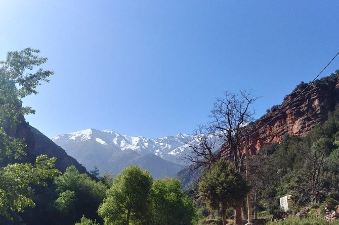 Discovering the Best Valley in Atlas Mountains and Be Inside the Berber Culture. - Traveler Reviews