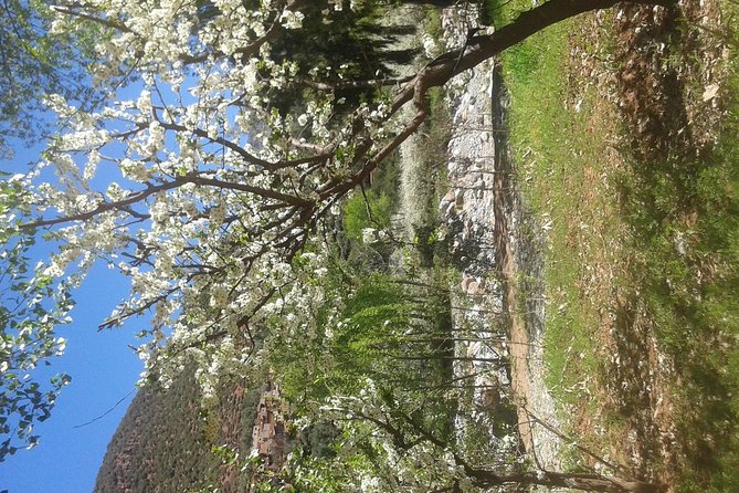 Discovering the Best Valley in Atlas Mountains and Be Inside the Berber Culture. - Pricing and Terms