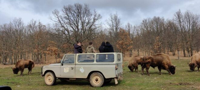 Discovering the Forest of Ancient Oaks. - Booking and Availability Details